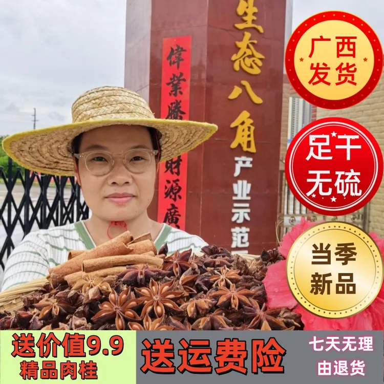八角   新品广西正宗足干无硫老树提香去腥调味料广西源头发货