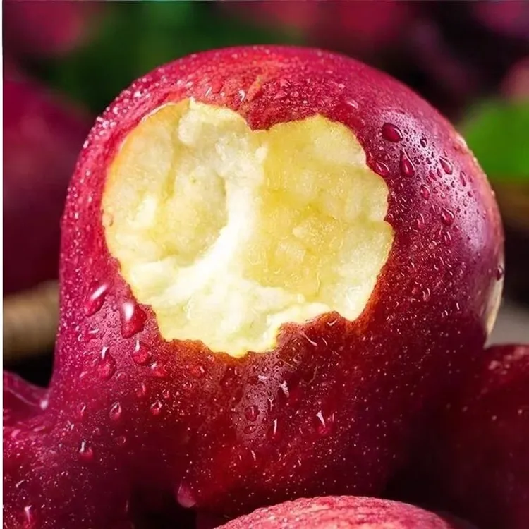 正宗甘肃天水高山花牛苹果产地直发品质保证