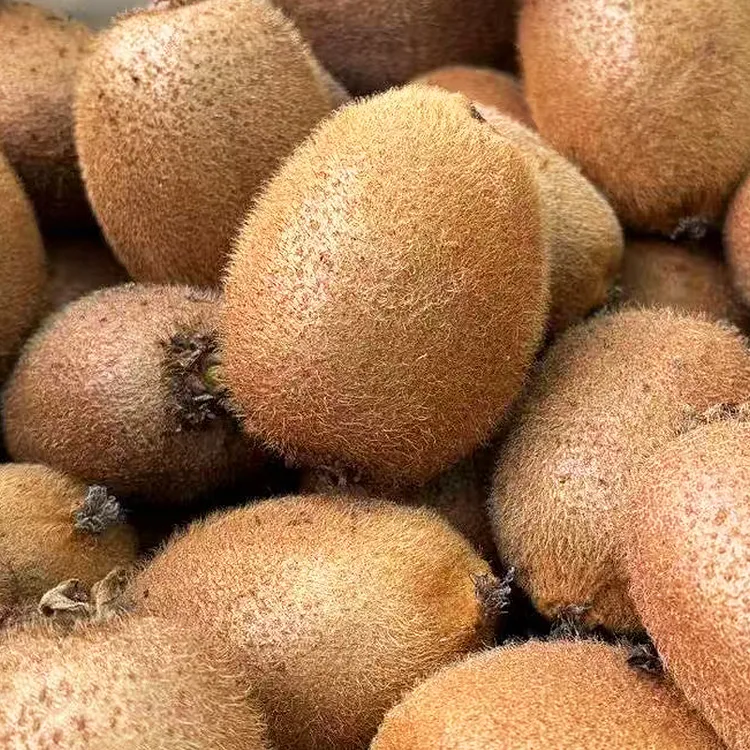 陕西瑞玉绿心猕猴桃周至奇异果鲜甜爽口汁多70g80g100g