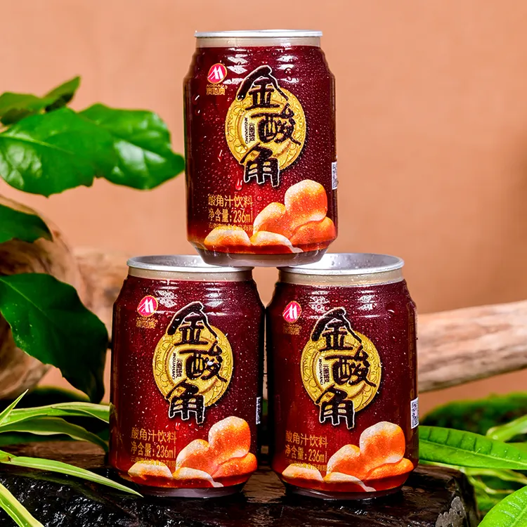 【澳地澳】酸角汁饮料云南特产老品牌酸酸甜甜解腻解辣果汁烧烤搭档