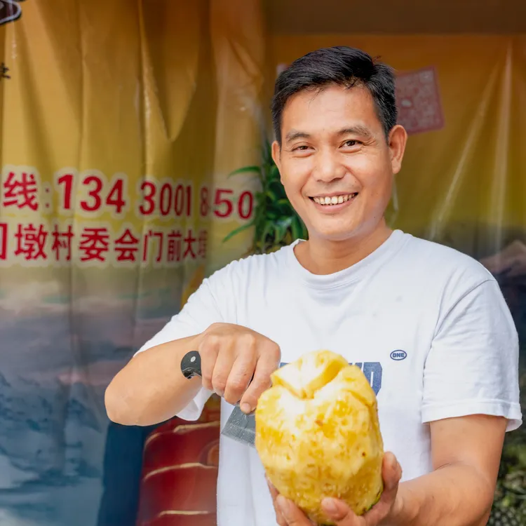 惠来圆墩高山菠萝8年老枞菠萝仔削皮即食鲜甜多汁老树小菠萝