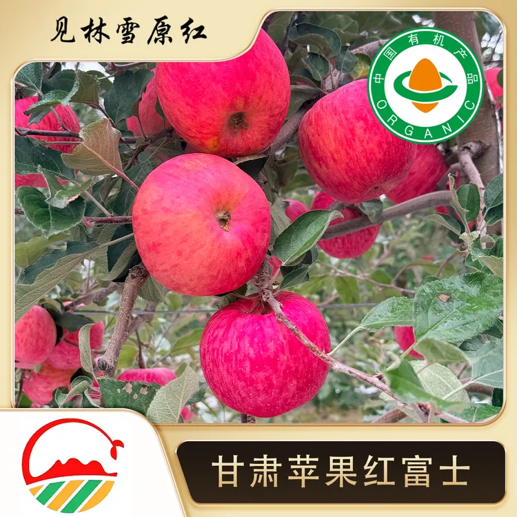 【有机苹果】顺丰包邮甘谷有机富士苹果产地直发脆甜多汁应季水果