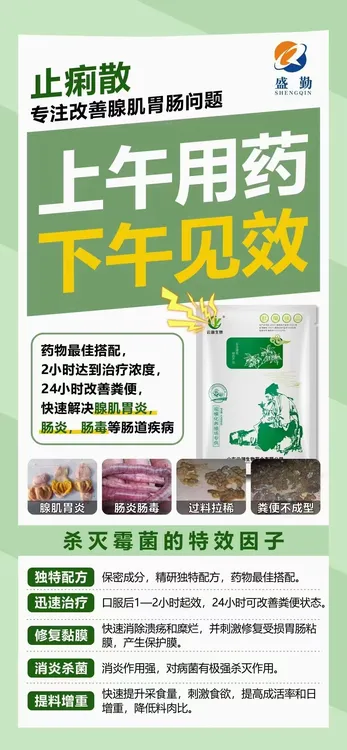 云湖止痢散/腺胃炎肠炎肠毒