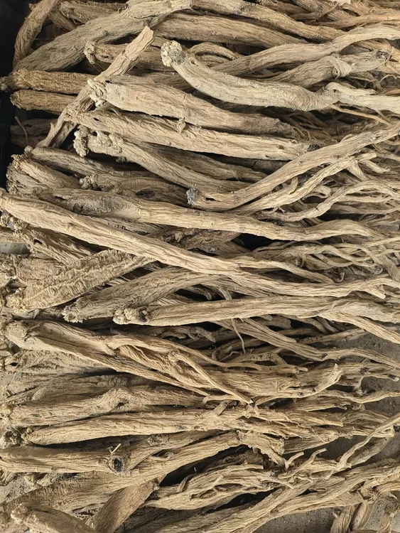 贵州党参自然晾晒（中小条）
