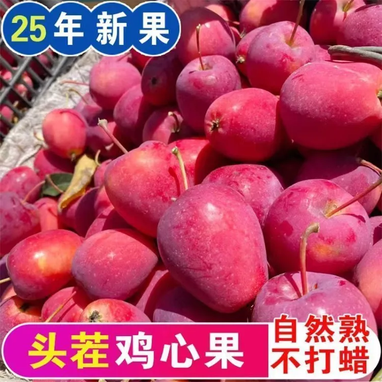 东北特产鸡心果锦绣海棠酸甜可口脆甜多汁应季新鲜水果