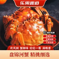 【活蟹】盘锦河蟹 1.3-1两/只 全母 到手2.5斤 鲜活发货 
