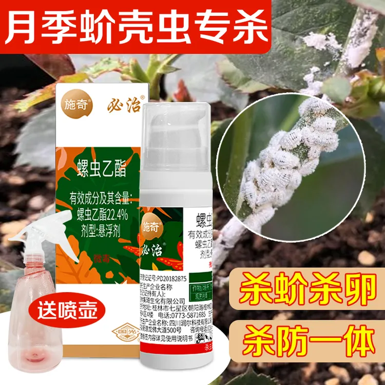 施奇蚧壳虫杀虫剂蚧必治非月季专用幸福树发财树植物多肉介壳通用