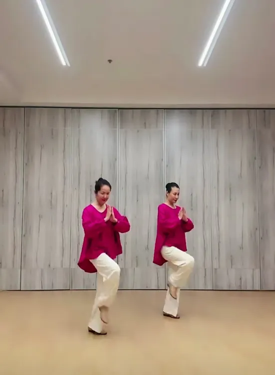 花与影老师菩提花同款圆领插肩袖宽松版衬衣古典现代舞练习舞蹈服