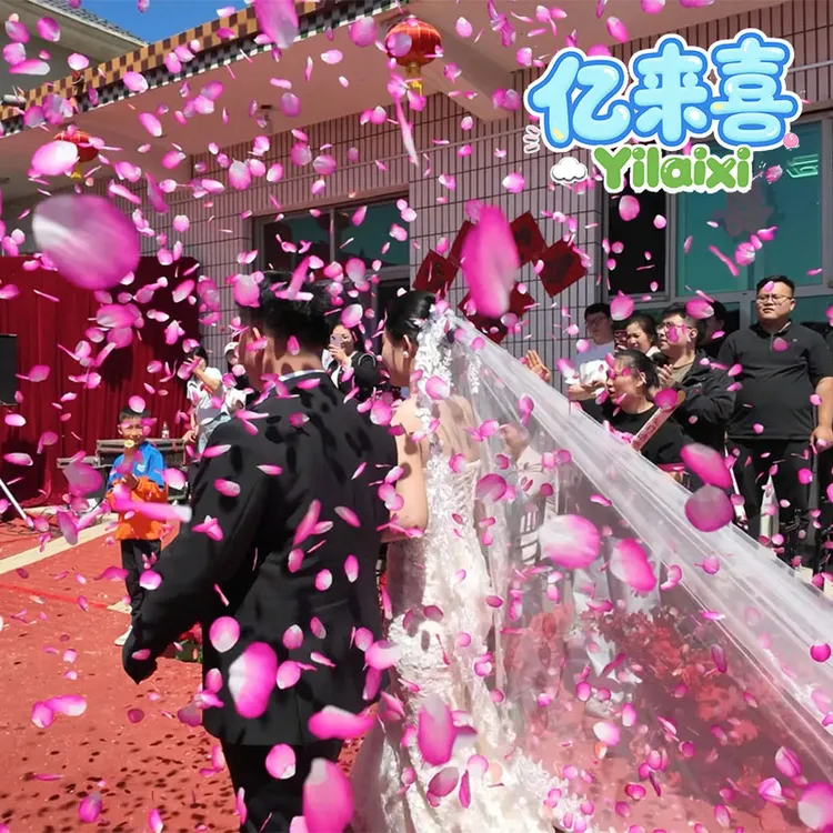 花瓣雨结婚礼炮礼花筒结婚用品大全彩带喷筒手持婚庆拍照礼花枪