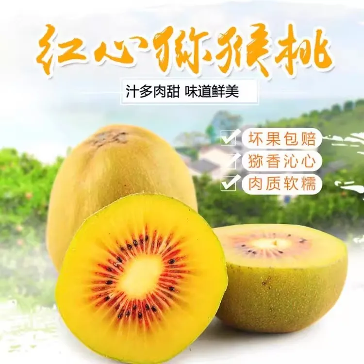 世界红心果发源地 苍溪红心猕猴桃 维C之王  香甜多汁  整箱包邮