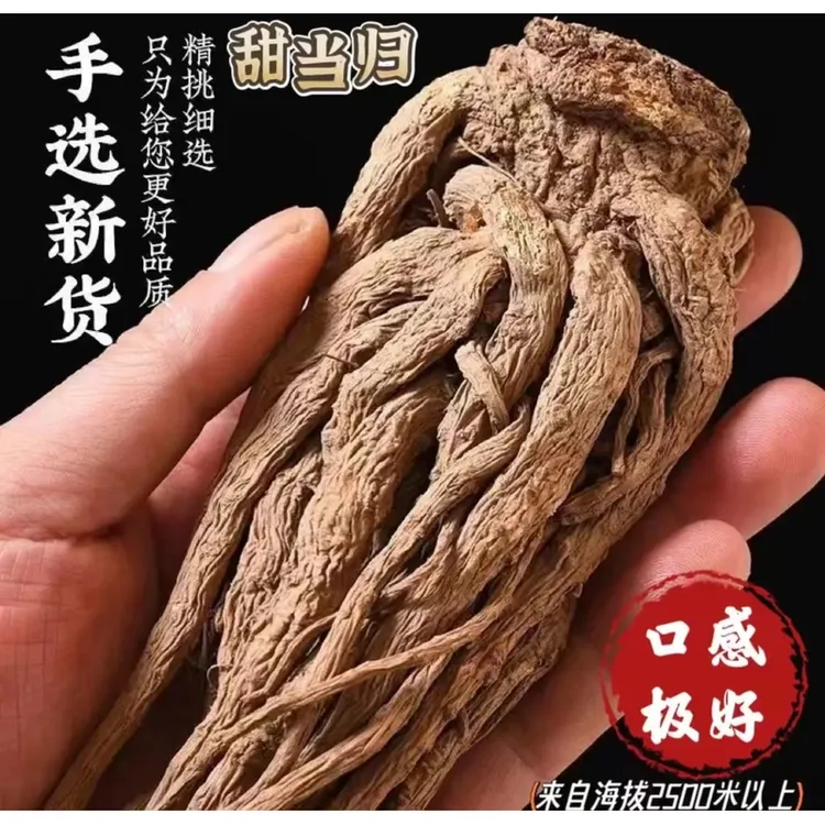 当归 四川大凉山甜当归滋补煲汤泡酒 无硫无加工原色原味香味浓郁