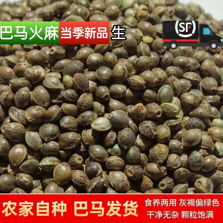 纳能堂【顺丰】广西巴马特产食用火麻籽未脱壳火麻仁小颗粒火麻汤