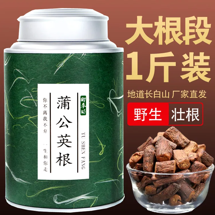 蒲公英根茶长白山野生特产浦公英片大根带根干的级蒲公英茶叶500g
