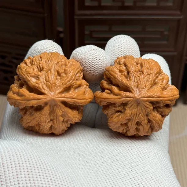 精选老树大粗筋，边43.5肚42高37，山地果骨质好克重足一物一图全品