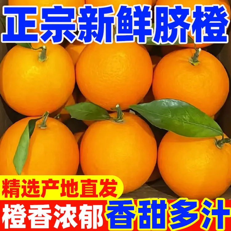 【带枝叶】正宗赣南脐橙5/10斤新鲜橙子孕妇水果皮薄多汁橙子