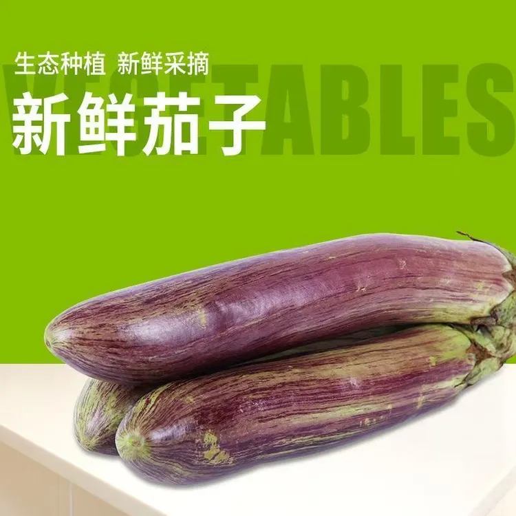 【福利】农家花茄子面包茄子现摘现发新鲜蔬菜包邮到家