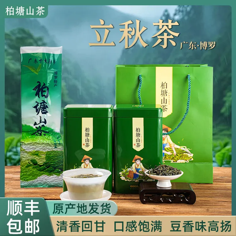 正宗柏塘山茶立秋茶茶婆手工炒茶柴火客家炒青绿茶客家博罗特产