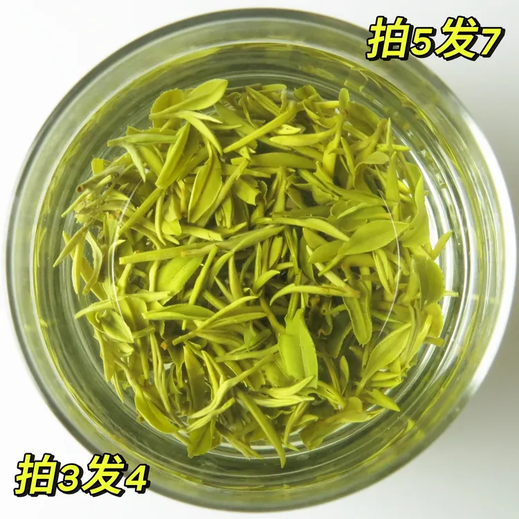 Y②【村长推荐】英山云雾茶好喝好看 本村谷雨茶春茶高山茶新茶绿茶