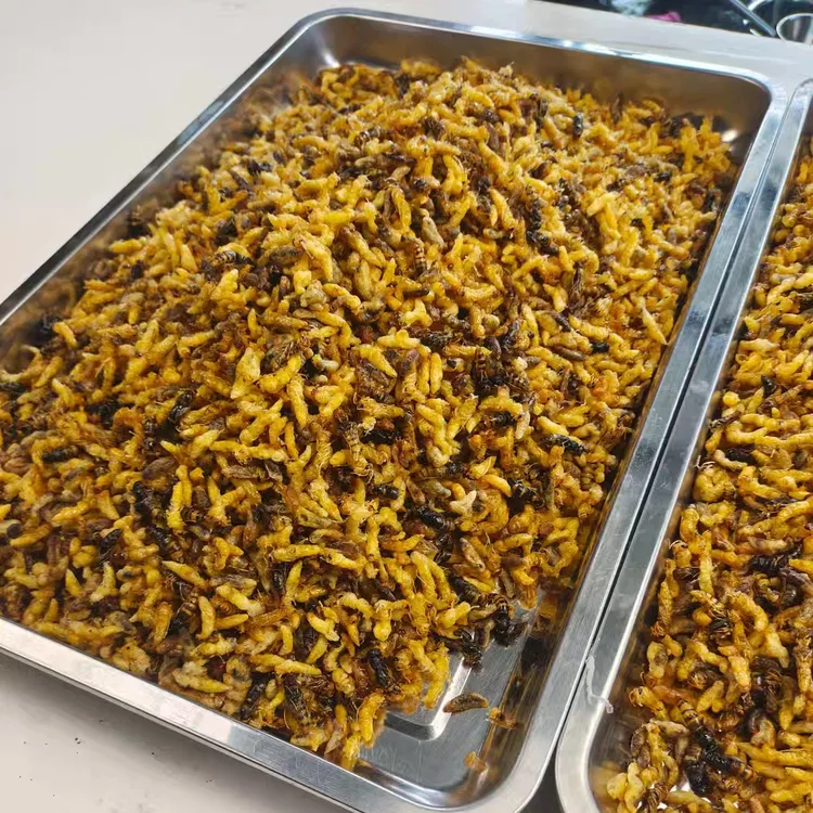 湖南湘西正宗纯野生蜂蛹，农家初级加工，现炸现卖桶装货1234级