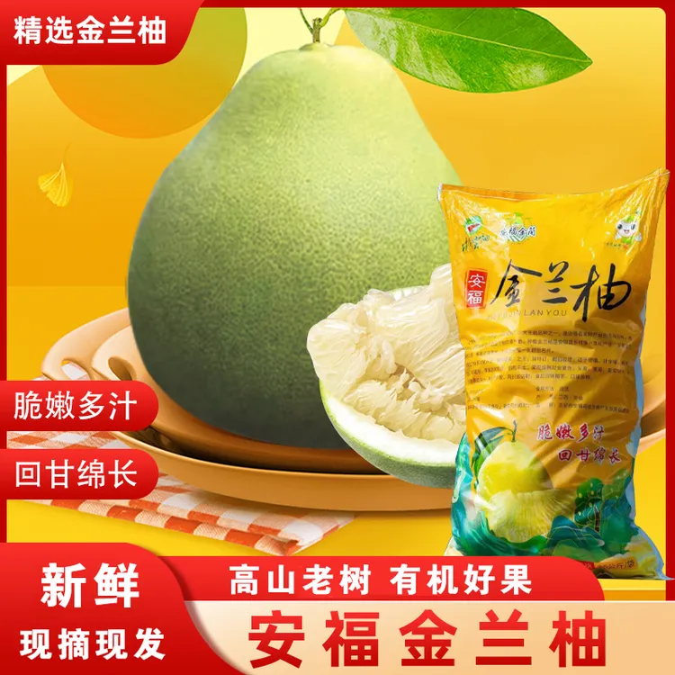 正宗有机井冈蜜柚安福金兰柚果园新鲜直发老树白心柚子编织袋包装