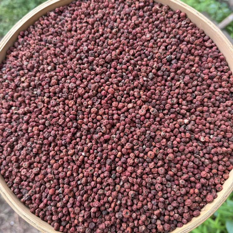 山货 云南山货土特产 紫杉果 500克