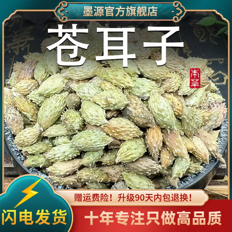 苍耳子中药材苍耳子茶仓耳子籽子中草药新鲜非野生可搭鹅不食草粉