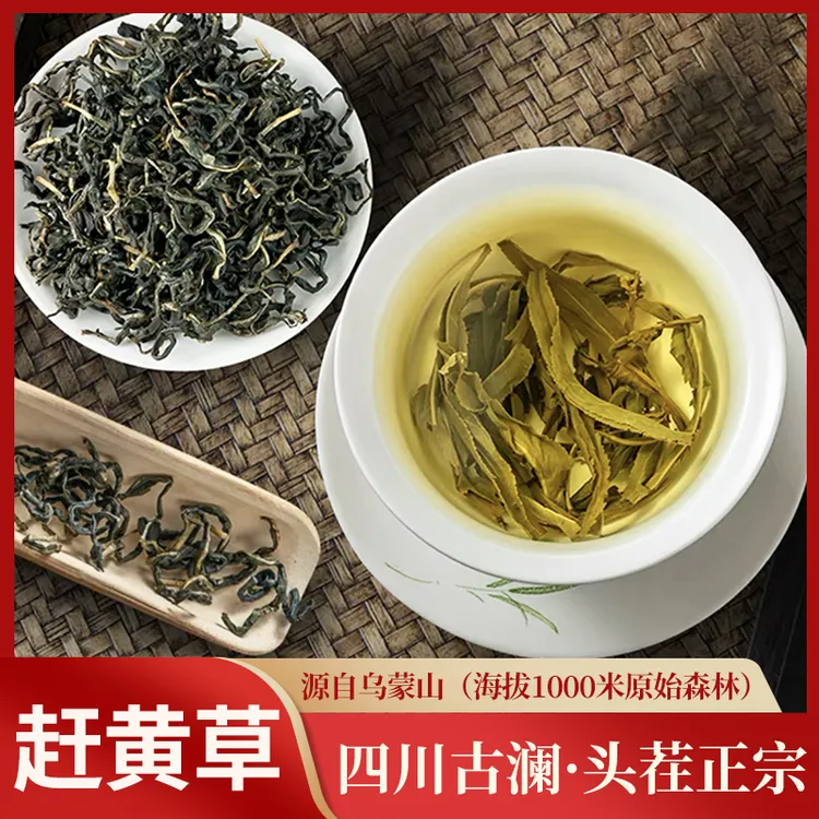 【正品保障】高山地道赶黄草嫩芽 古蔺正宗赶黄茶 泡水冲茶