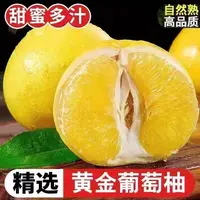 【黄金葡萄柚】福建平和老树柚子 应季多汁非红心西柚【送榨汁器】
