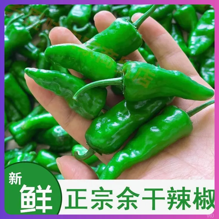正宗余干辣椒新鲜特辣薄皮青椒爆辣农家自种辣椒土辣椒1/2/3/5斤