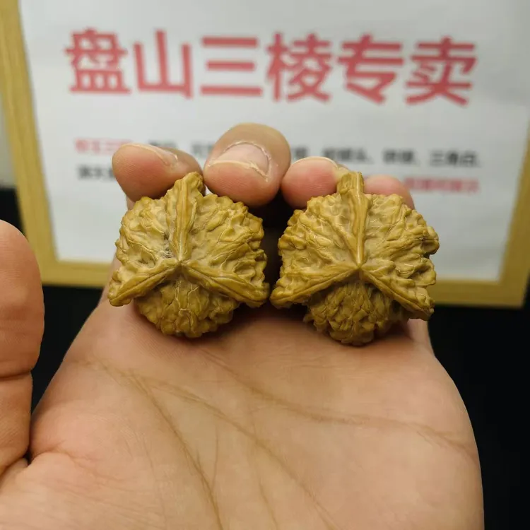 A151盘山三棱正奔3.8尺寸3.5高全品无修白茬文玩核桃手把件