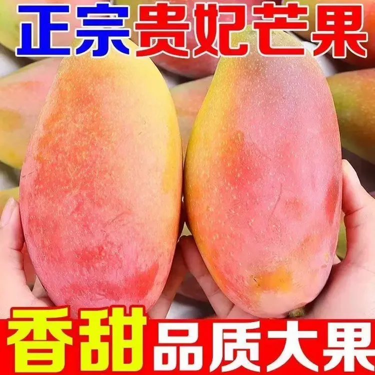 新鲜当季水果贵妃芒果现摘现发热带水果放软食用