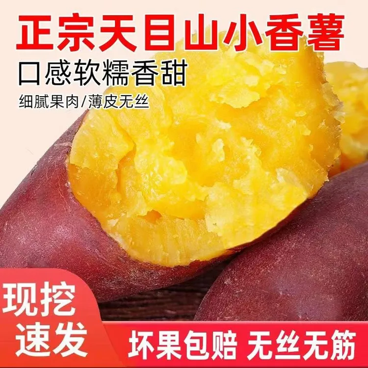 杭州天目山小香薯新鲜现挖沙地番薯地瓜粉糯香甜无筋无丝