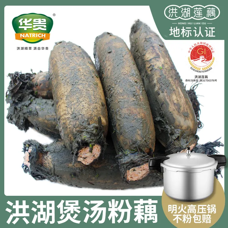 【洪湖粉藕】华贵洪湖正宗莲藕绿色煲汤粉藕3斤/五斤带泥莲藕特产