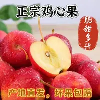 东北鸡心果锦绣海棠脆甜多汁新鲜采摘产地直发小苹果【q】