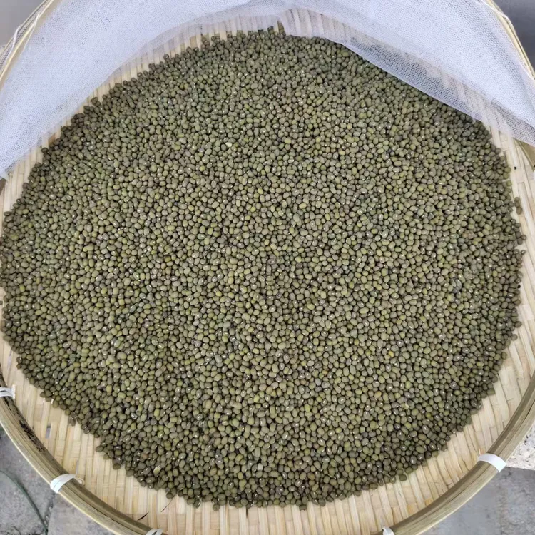 老品种白霜毛绿豆可生豆芽非转基因古法13方毛绿豆农家自产绿豆