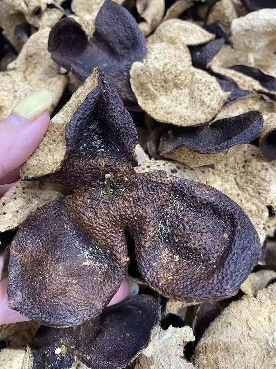 正宗新会陈皮10年陈皮广东特产老陈皮干泡水