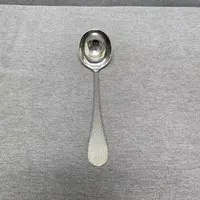 1-043 不锈钢泡泡圆头勺 长约21CM