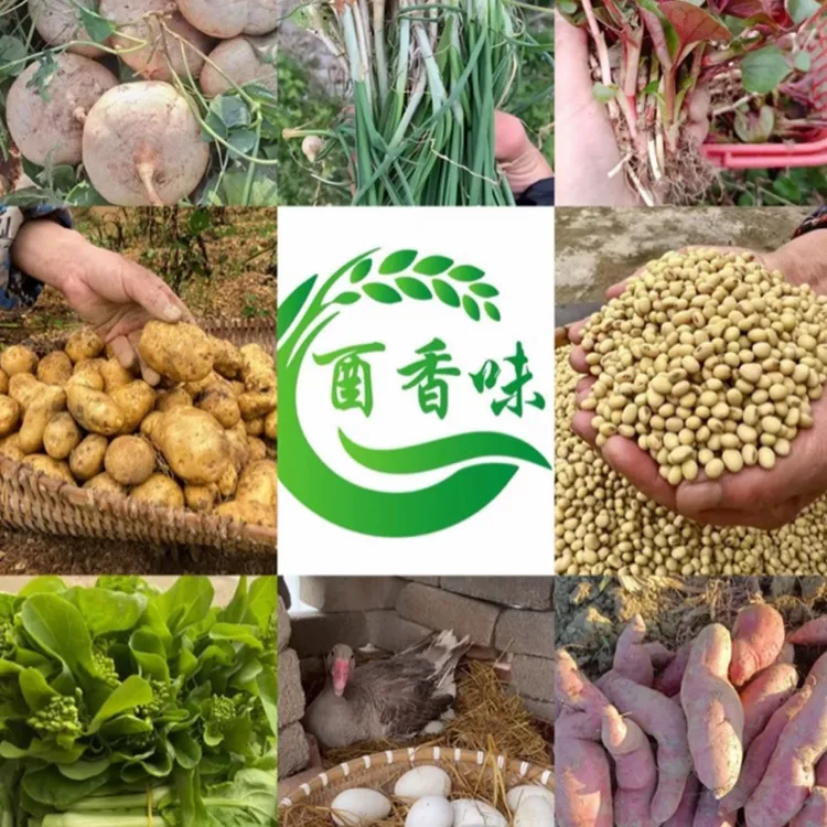 酉阳农村赶集农产品专拍土豆等土特产