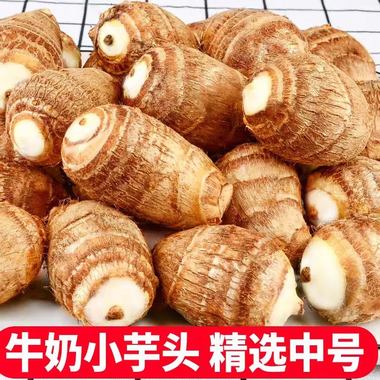 山东牛奶芋头毛芋头新鲜现挖牛奶小芋头农家香芋籽软糯毛芋艿