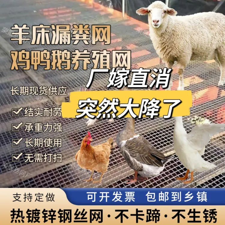 热镀锌钢丝羊床漏粪网鸡鸭鹅漏粪底网养羊网筛网养殖网围网铁丝网