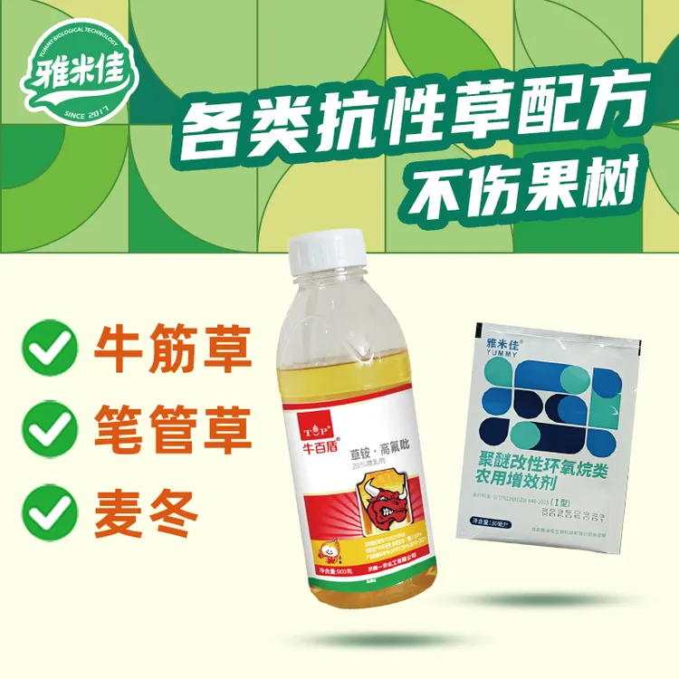 牛百盾抗性烂根牛筋草小飞蓬节节草笔管草果园除草剂香附子灭草