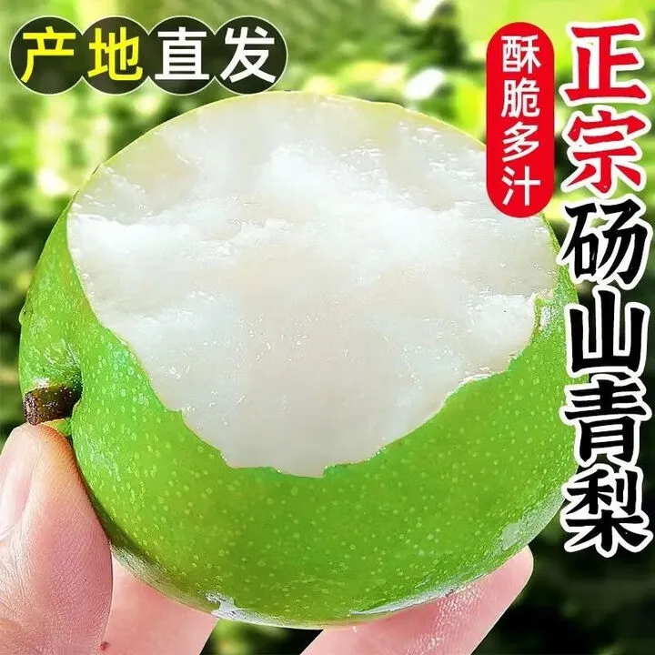 正宗安徽砀山青玉翠蜜梨皇冠梨新鲜应季水果孕妇酥脆多汁整箱批发