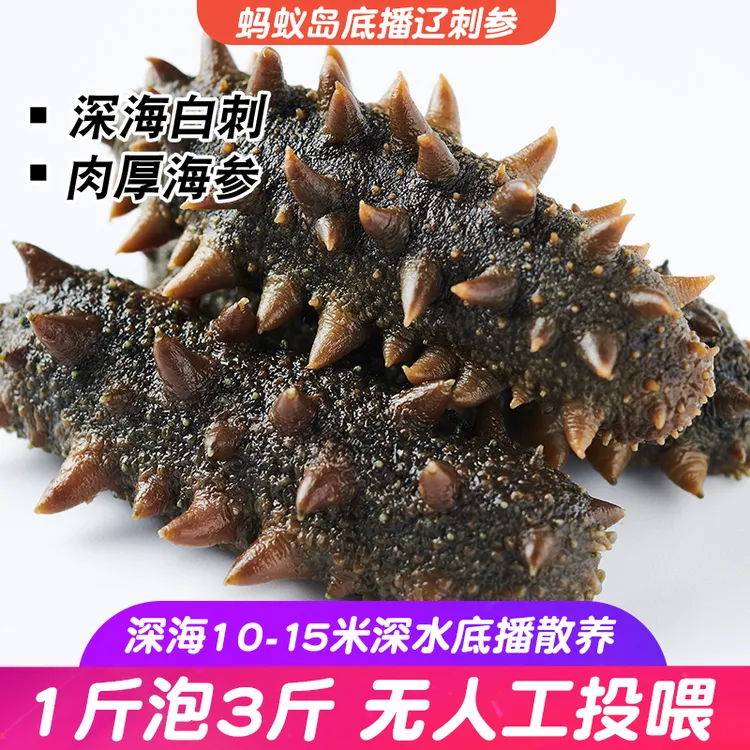 大连辽刺参深海拉缸盐半干海参[40-45头左右/500g]顺丰包邮