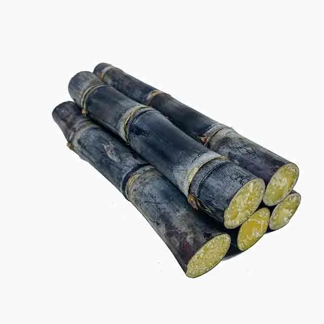 广西黑皮甘蔗应季新鲜现砍脆甜多汁水果甘蔗3斤5斤9斤