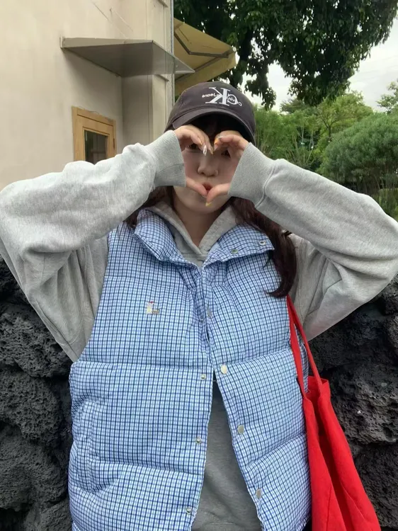 复古格子简约秋冬款格纹立领休闲保暖潮流格子马夹女冬季加厚百搭