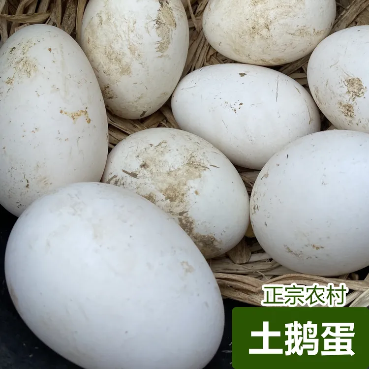 【顺丰包邮】湖南农村正宗土鹅蛋 农家自养 吃五谷自然长大