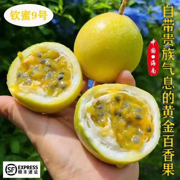 【海南开哥】海南产地发货钦蜜九号黄金百香果超甜当季水果礼盒装