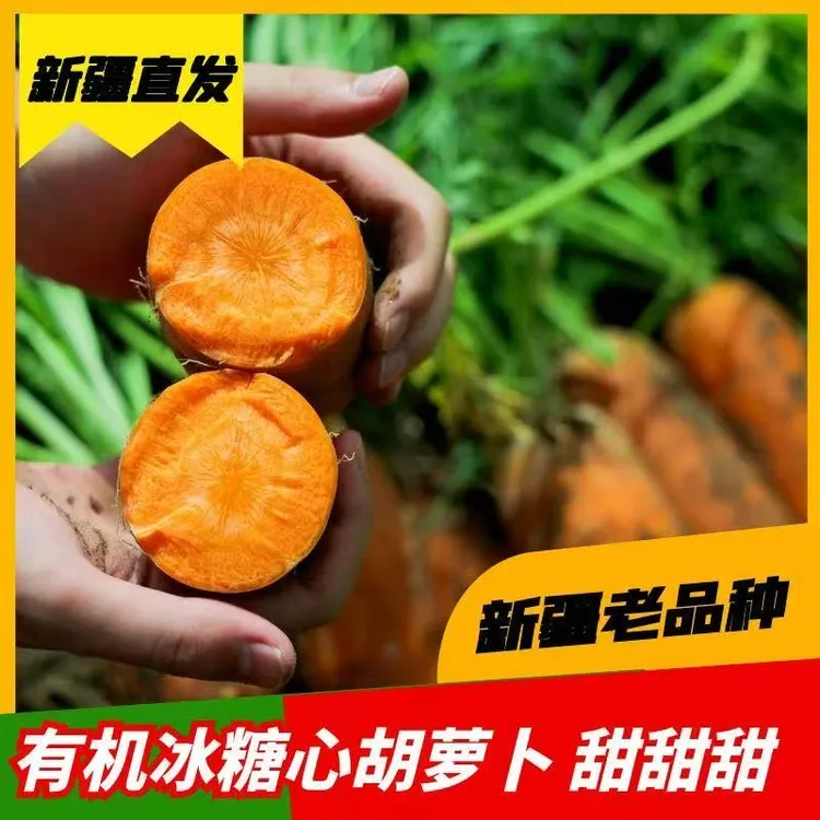 【有机富硒】新疆冰糖心有机富硒胡萝卜新疆和硕县苏哈特直发