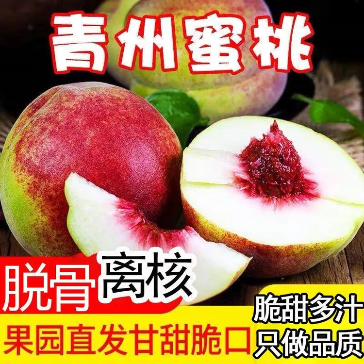 青州蜜桃硬桃离核新鲜现摘脆甜多汁青州蜜桃当季应季水果脆桃硬桃