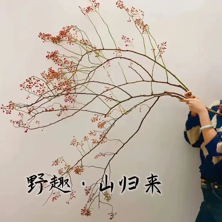 水培植物年宵花干枝花鲜切花红果室内鲜花绿植插花南蛇藤花束花卉